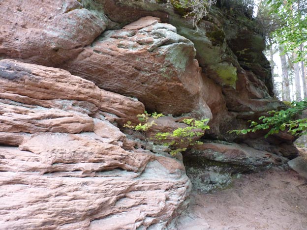 014 2015-07-26 017 Campingplatz Buttelwoog