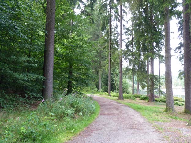 007 2015-07-29 019 Camping Fichlelsee