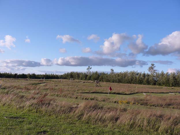 010 2015-07-31 040 Uge Camping