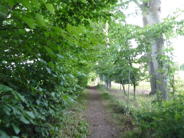 010 2015-08-01 023 Billevänge Camping