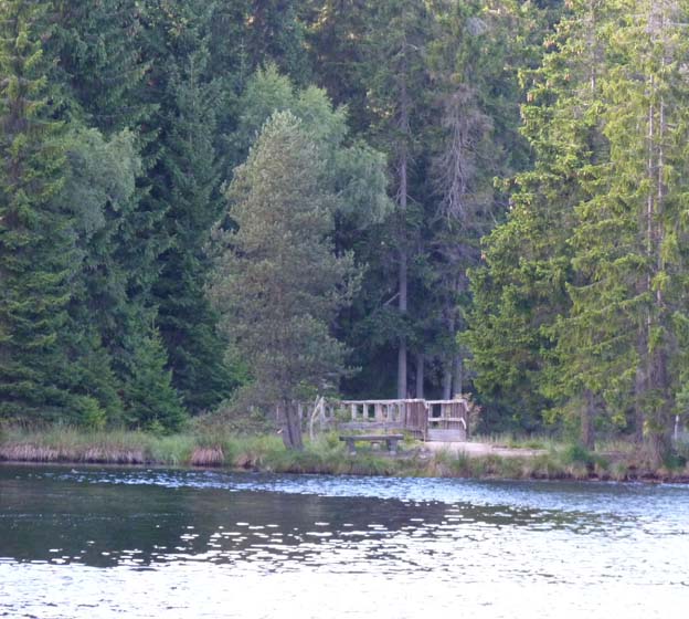 011 2015-07-29 023 Camping Fichlelsee