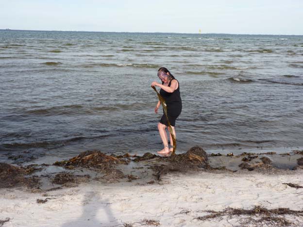 013 2015-08-01 033 Billevänge Camping