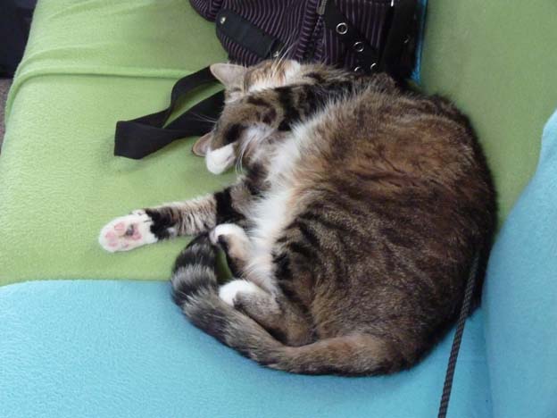 020 2015-08-02 037 Ulslev strandcamping