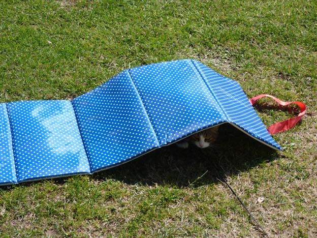 004 2015-08-03 002 Ulslev strandcamping