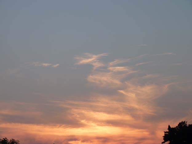 006 2015-08-03 020 Ulslev strandcamping