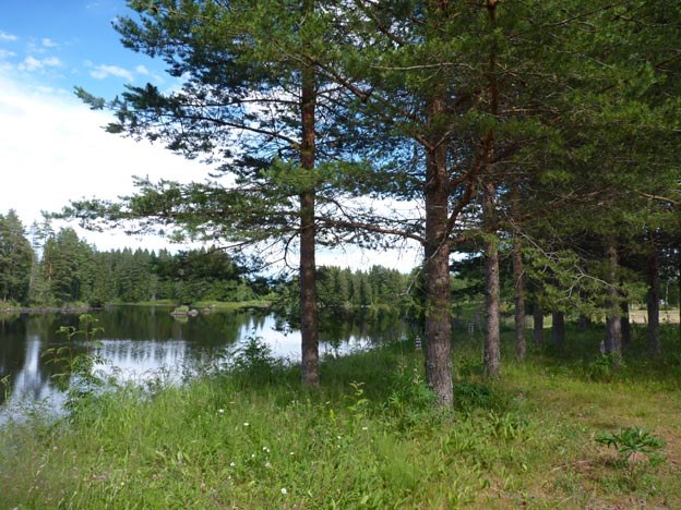 004 2016-07-09 001 Uppsälje