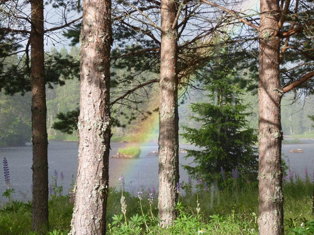 005 2016-07-09 052 Uppsälje