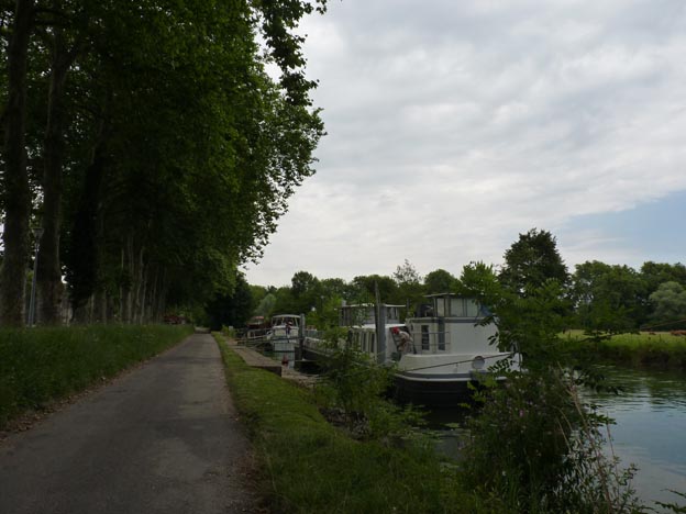 012 2016-07-20 011 Dole