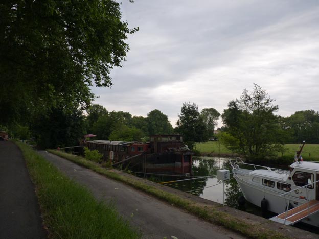 013 2016-07-20 016 Dole