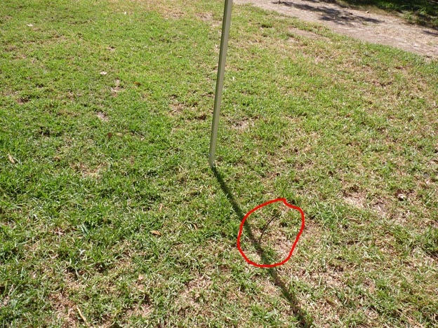 001 2016-07-29 001 Campismo do Paco