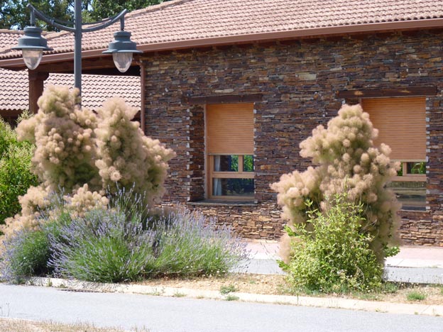 001a 2016-07-26 014 Camping Riaza