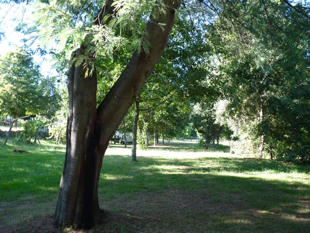 008 2016-07-27 008 Quinta Chave Grande Portugal