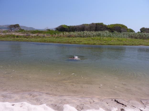 009 2016-07-29 016 Campismo do Paco