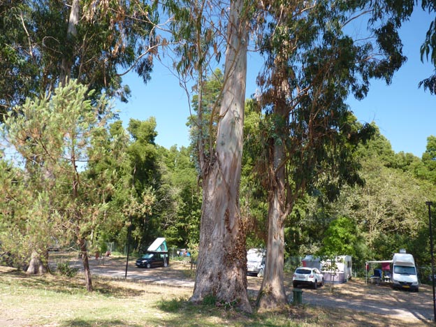 011 2016-07-28 012 Campismo do Paco