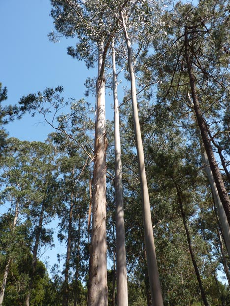 012 2016-07-28 009 Campismo do Paco