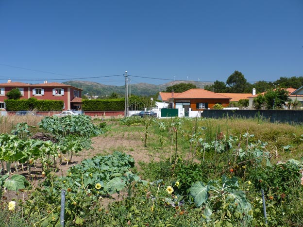 015 2016-07-29 027 Campismo do Paco