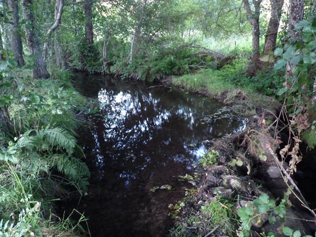 016 2016-07-27 019 Quinta Chave Grande Portugal