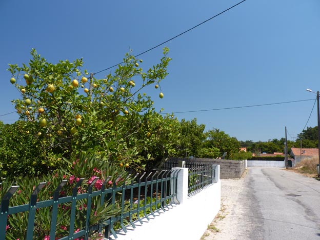 016 2016-07-29 029 Campismo do Paco