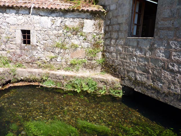 018 2016-07-28 014 Campismo do Paco