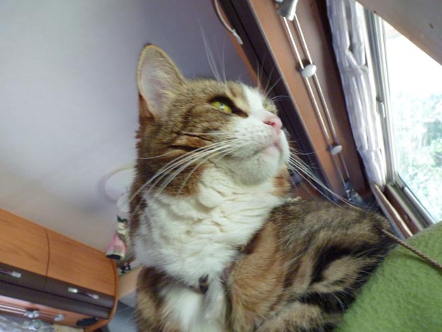 018 2016-07-29 033 Campismo do Paco