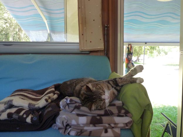 019 2016-07-29 038 Campismo do Paco