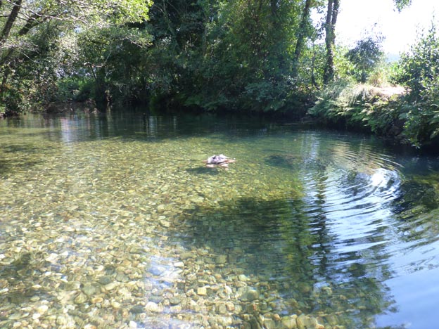 020 2016-07-29 043 Campismo do Paco