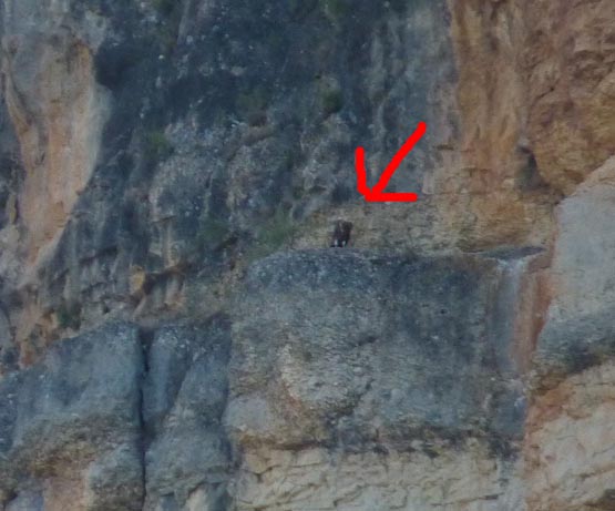 021 2016-07-25 035 Camping Lago Resort