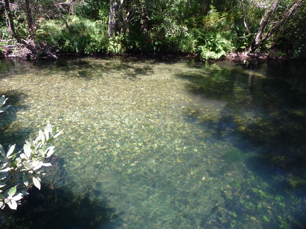 022 2016-07-28 019 Campismo do Paco