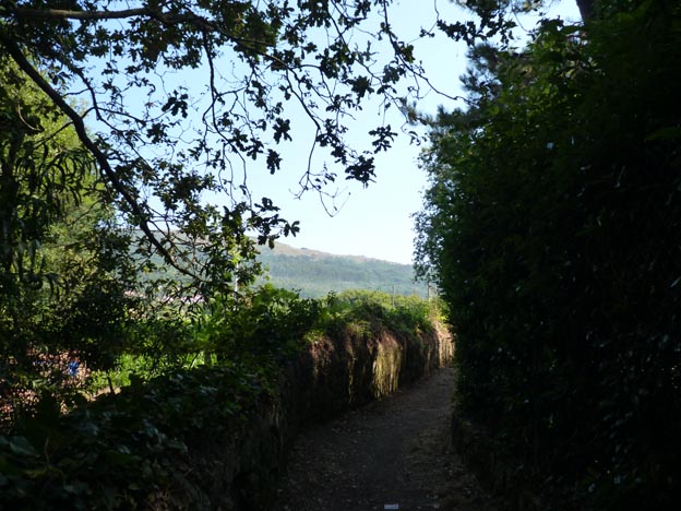 023 2016-07-28 020 Campismo do Paco