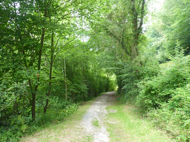 001-2016-08-04-002-la-foret