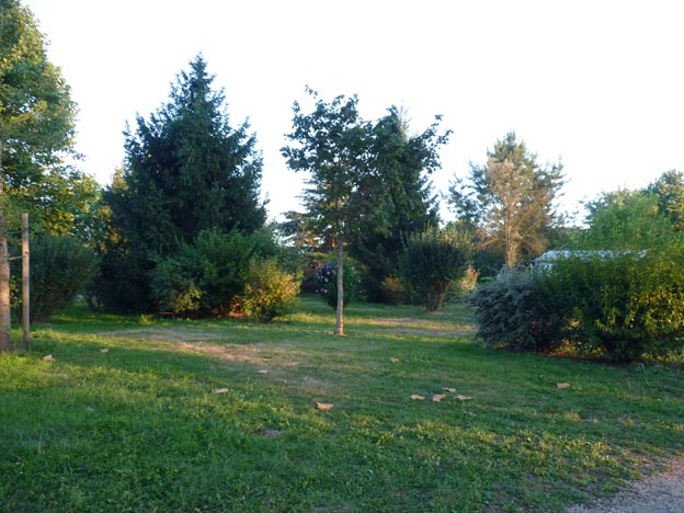 007-2016-08-06-031-champ-dete