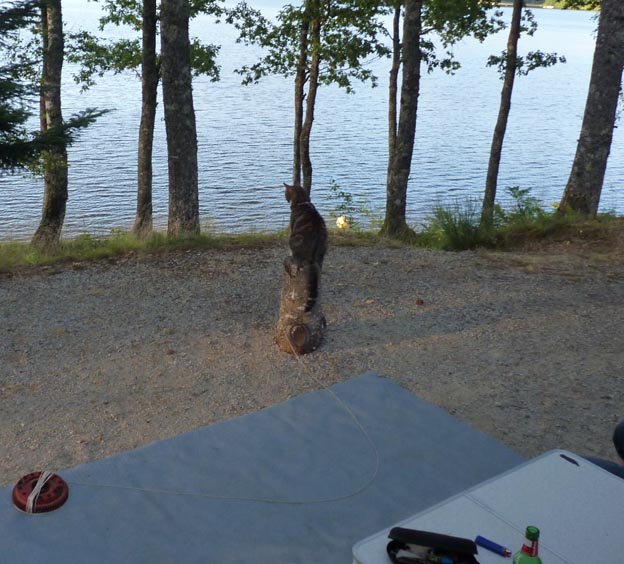 008-2016-08-05-014-camping-municipal-du-lac