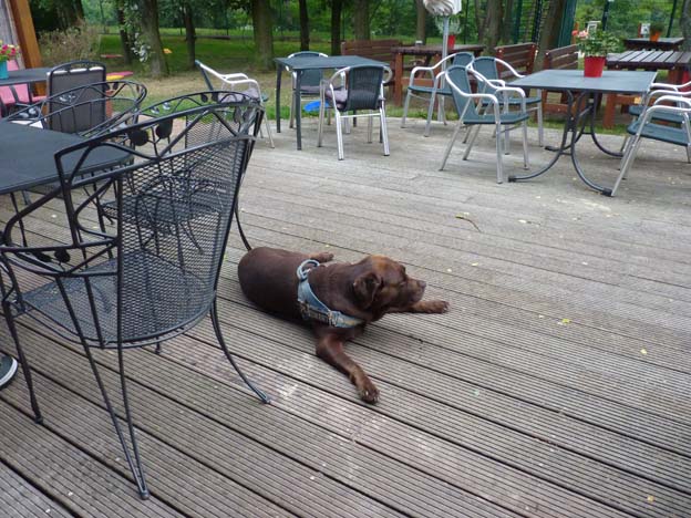 011-2016-08-13-011-zelt-und-wohnmobilplatz-heidesse