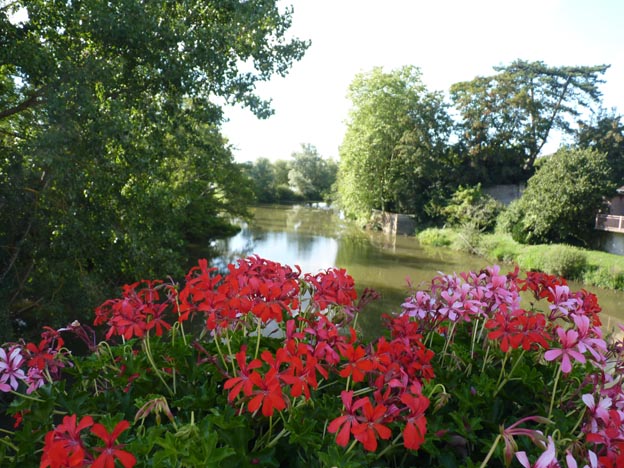 012-2016-08-06-014-champ-dete