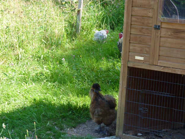 014-2016-08-03-017-la-foret