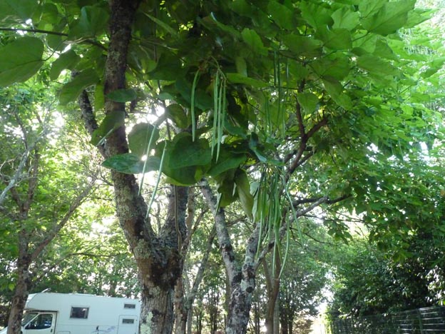 016-2016-08-02-026-fontet-stallplats