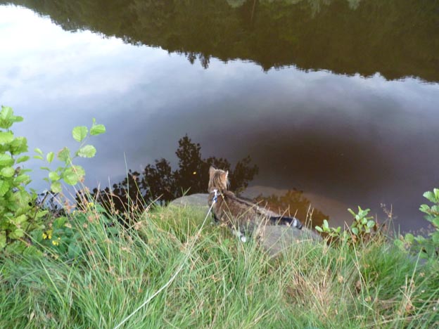 019-2016-08-09-033-camping-sagmuhle