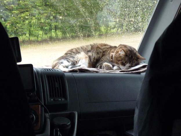 022-2016-08-11-016-camping-holsteenbron