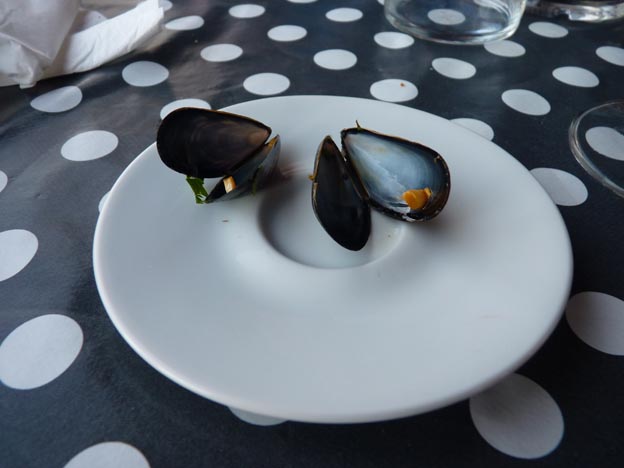 025-2016-08-01-038-ur-onea