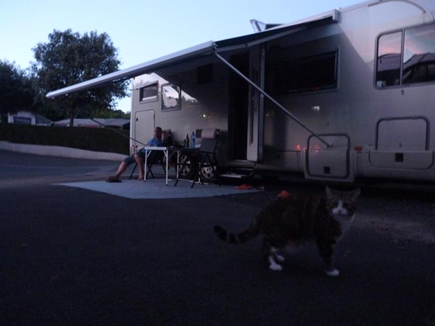 027-2016-08-01-041-ur-onea