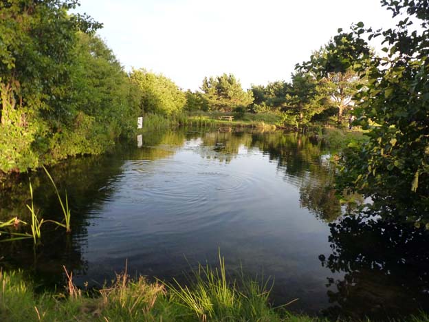 029-2016-08-14-036-uge-lystfiskeri-og-camping