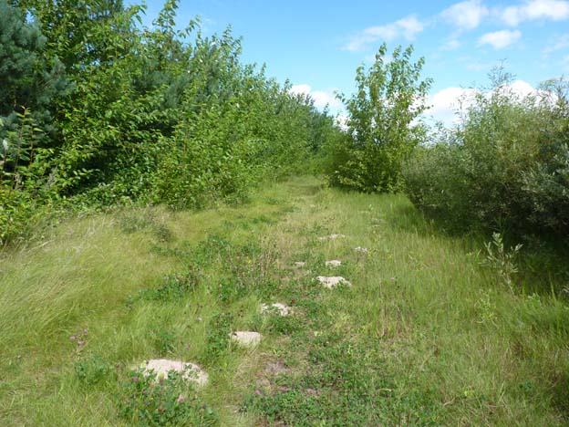 033-2016-08-15-004-uge-lystfiskeri-og-camping