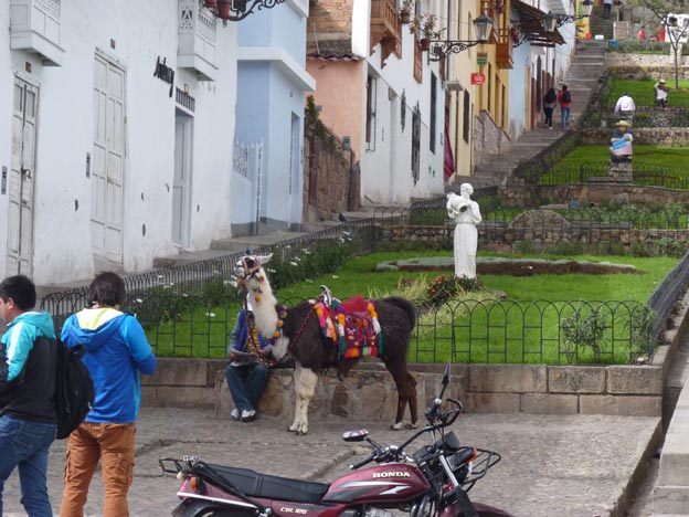 En alpacka och en motorcykel utanför hotellet.