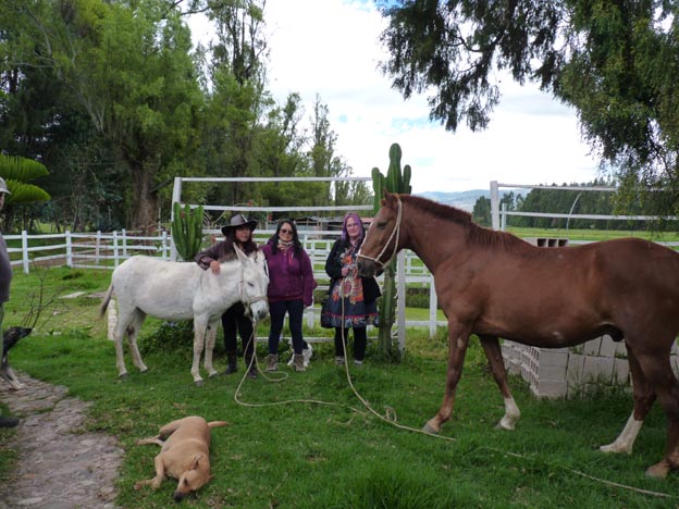 Åsnan, hästen, Patricia, Nidia och jag.