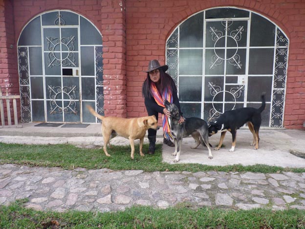 Patricia och några av hundarna.