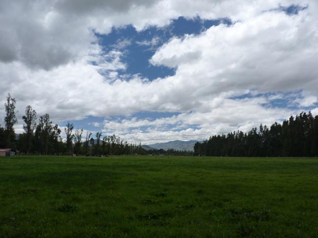 Vy från Patricias hem.