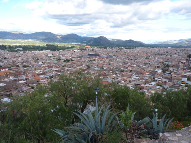Cajamarca och aloe vera.
