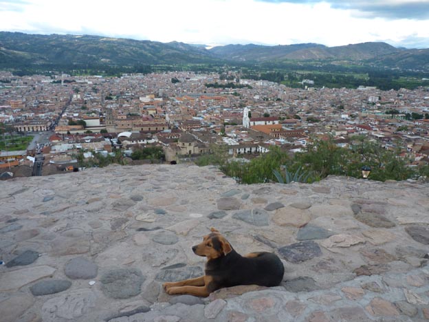 Hunden och Cajamarca.